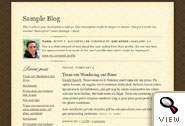 Scribe Blogger template by Todd Dominey