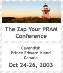 Zap Your PRAM Conference