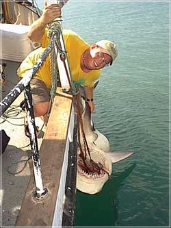 my brother tim and a shark