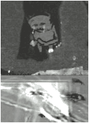 I'm not sure. I'm really not.