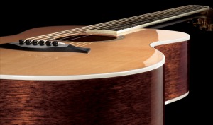 Taylor GS5 close-up - from Taylor.com