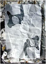 layer 7 of the match